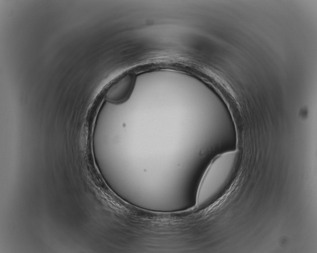X0000096141021200801180847