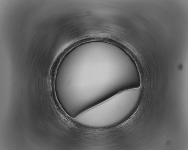 X0000096141022200801180847