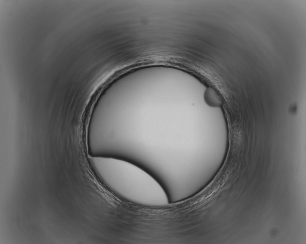 X0000096141023200801180847