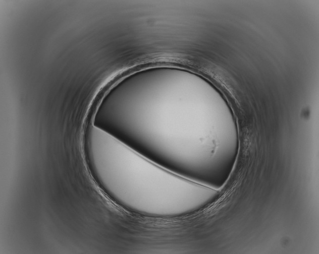 X0000096141024200801180847