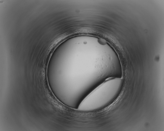X0000096141025200801180847