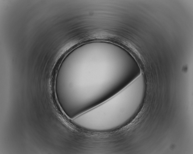 X0000096141026200801180847