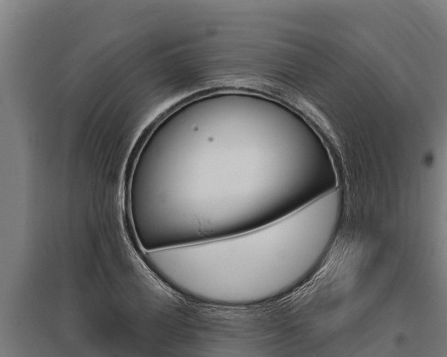 X0000096141028200801180847