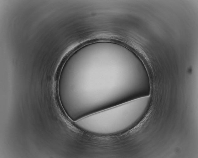 X0000096141029200801180847