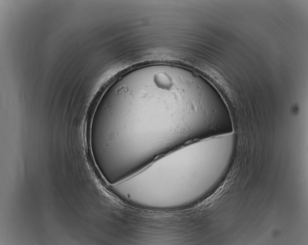 X0000096141030200801180847