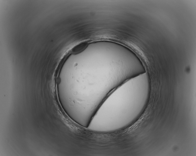 X0000096141031200801180847