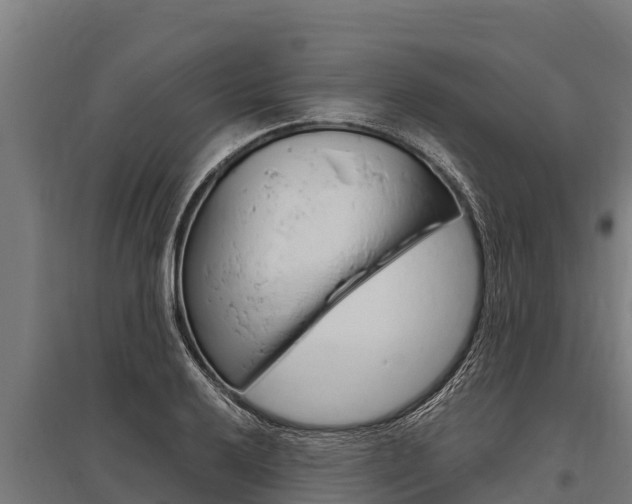 X0000096141032200801180847