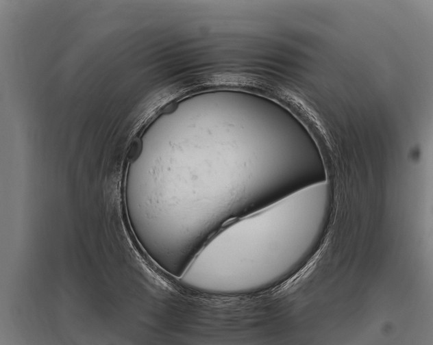 X0000096141033200801180847
