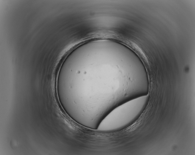X0000096141035200801180847