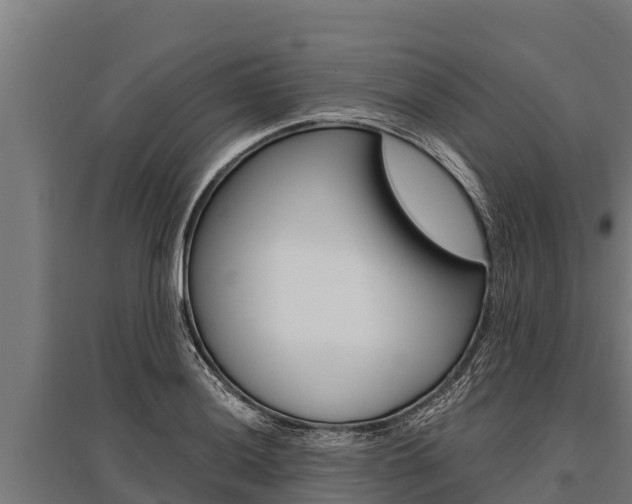 X0000096141036200801180847