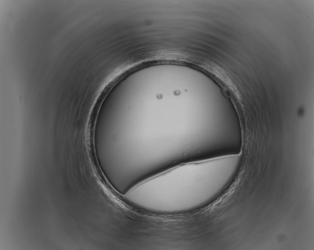 X0000096141037200801180847