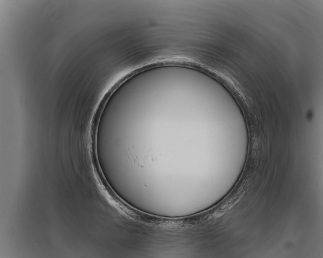X0000096141038200801180847