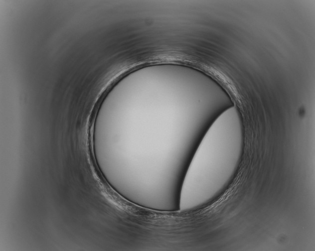 X0000096141039200801180847