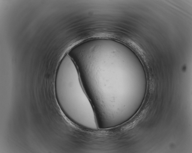 X0000096141041200801180847