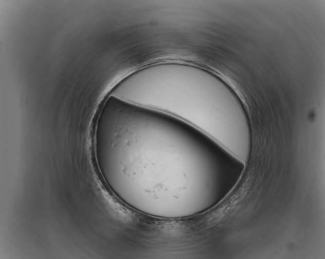 X0000096141042200801180847