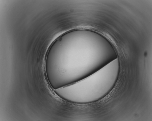 X0000096141044200801180847