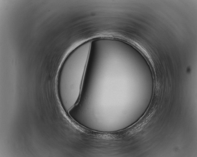 X0000096141045200801180847