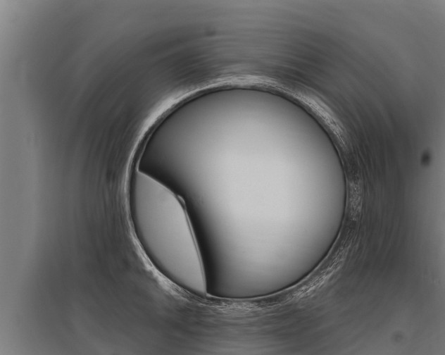 X0000096141046200801180847