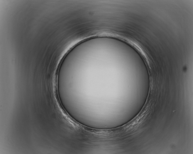 X0000096141048200801180847