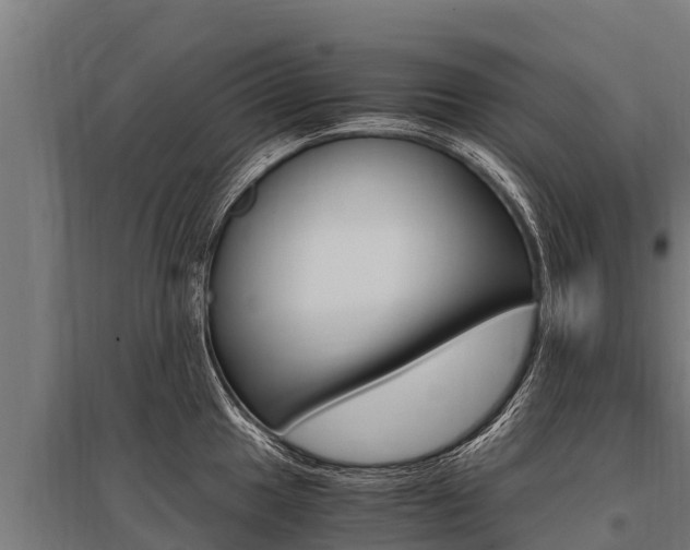 X0000096141049200801180847