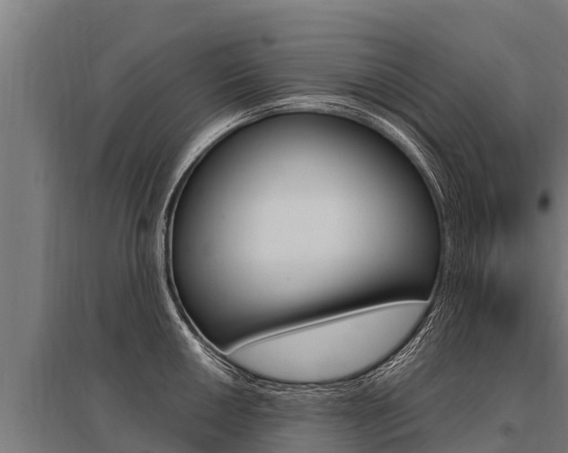 X0000096141050200801180847