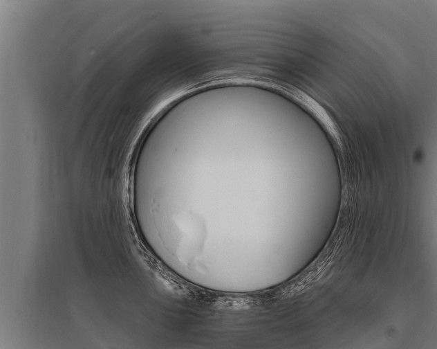 X0000096141051200801180847