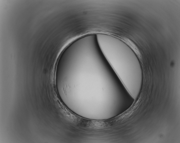 X0000096141052200801180847