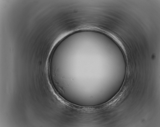 X0000096141053200801180847