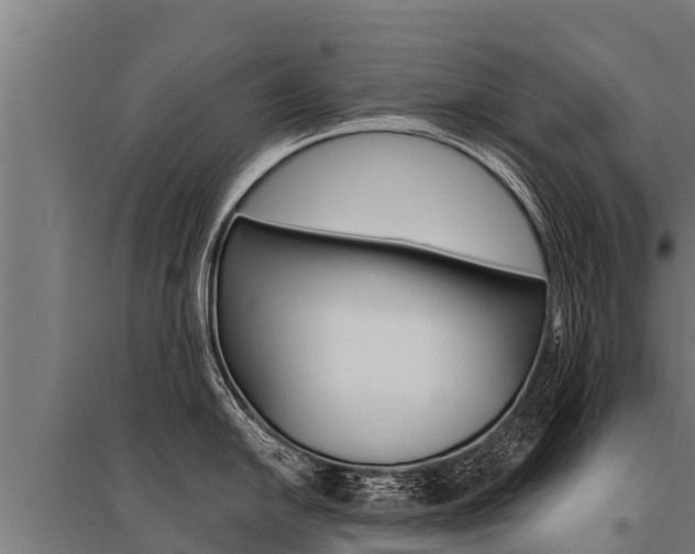 X0000096141054200801180847