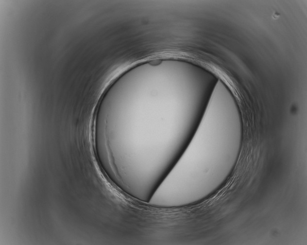 X0000096141055200801180847