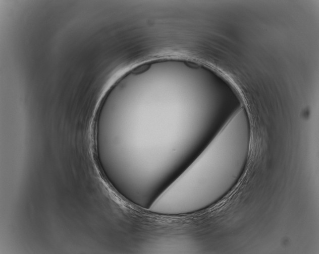 X0000096141056200801180847