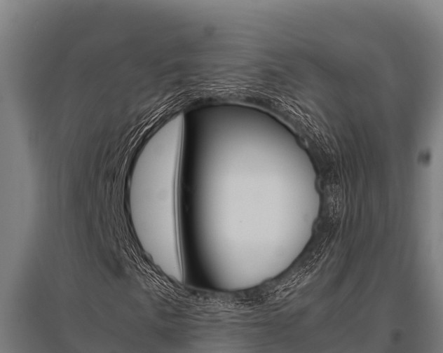 X0000096141057200801180847