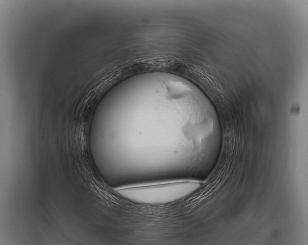 X0000096141058200801180847