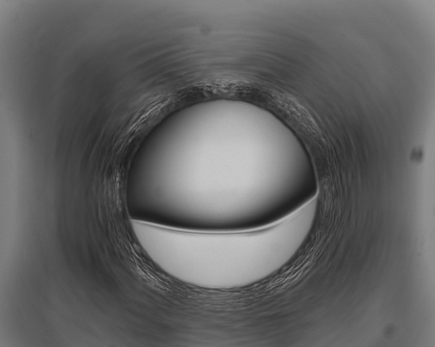 X0000096141060200801180847