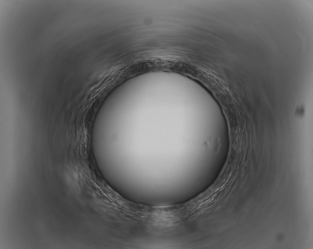 X0000096141061200801180847