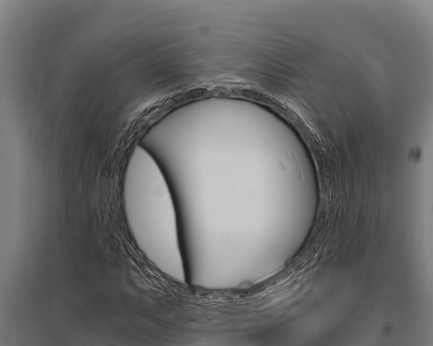 X0000096141063200801180847