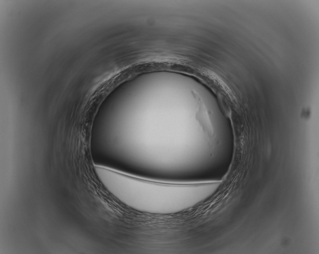 X0000096141064200801180847