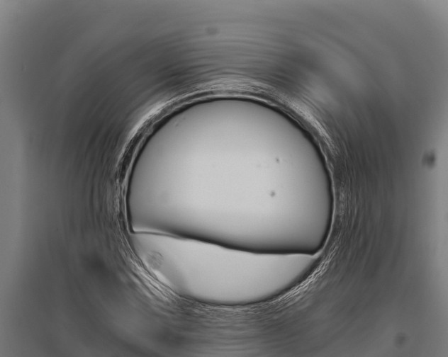 X0000096141067200801180846