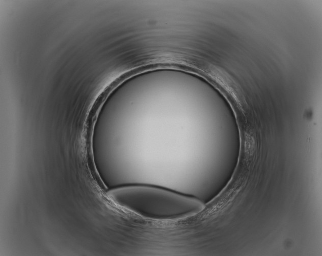 X0000096141068200801180846