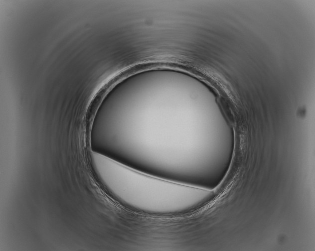 X0000096141069200801180846