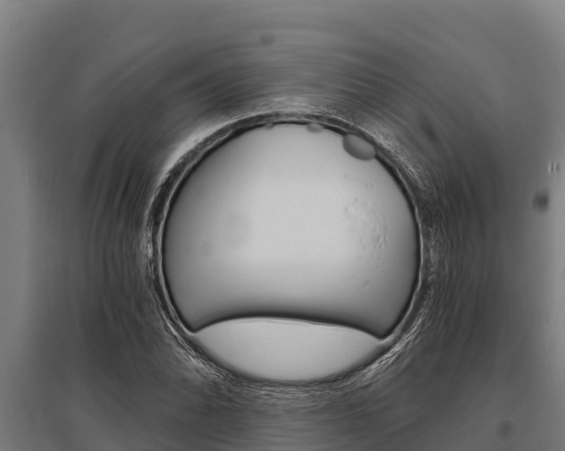 X0000096141070200801180846
