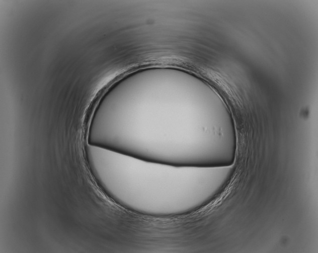 X0000096141071200801180846