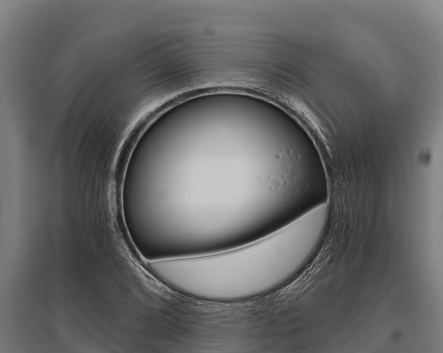 X0000096141072200801180846