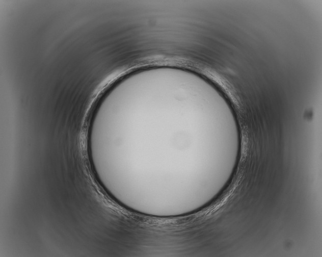 X0000096141074200801180846