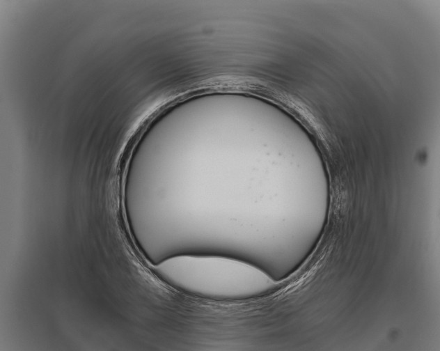 X0000096141075200801180846