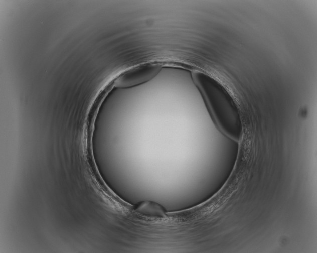 X0000096141076200801180846