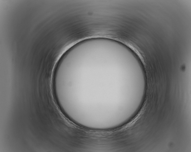 X0000096141077200801180846
