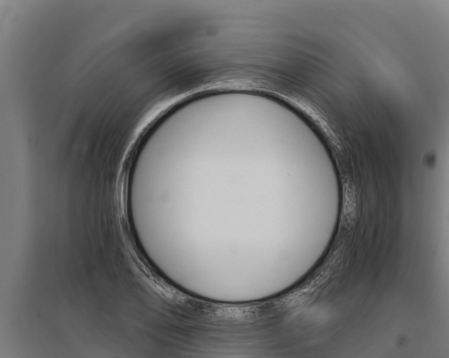 X0000096141078200801180846