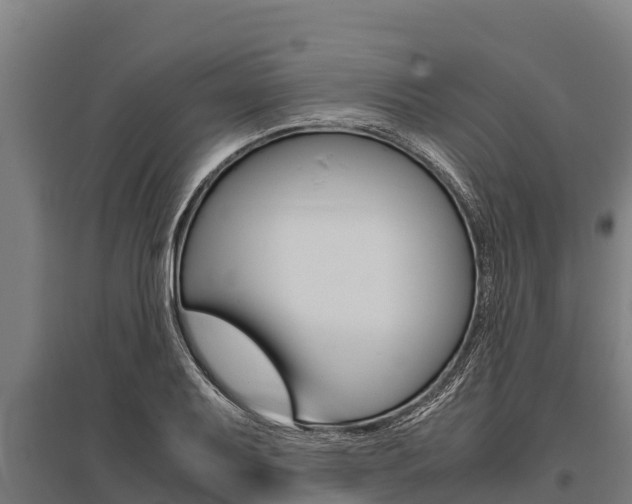 X0000096141079200801180846