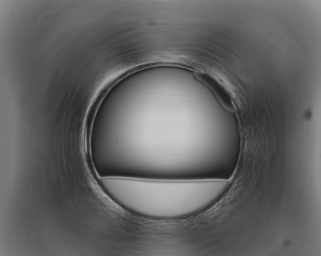 X0000096141080200801180846
